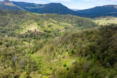 /international/au/lot-15-gradys-creek-road-cougal-nsw-700428588/