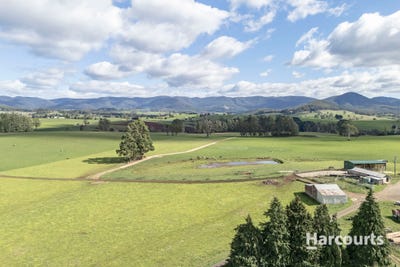 /international/au/214-mathinna-plains-road-ringarooma-tas-700404828/