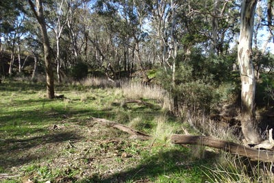 /international/au/15-moran-court-graytown-vic-700410632/