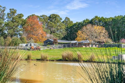 /international/au/187-walkers-road-avoca-nsw-151105276/