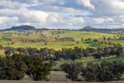 /international/au/1507-pine-mount-road-woodstock-nsw-700368960/?lang=id