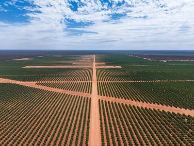 /international/au/17071-goyder-highway-monash-sa-700408076/