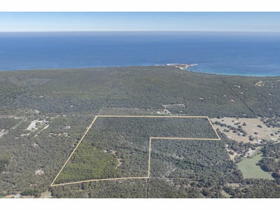 /international/au/lot-774-caves-road-yallingup-wa-700404560/