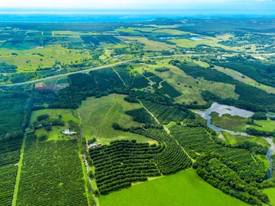 /international/au/323-alcorn-road-knockrow-nsw-700399452/