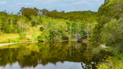 /international/au/261-chinamans-creek-road-tuchekoi-qld-150951892/
