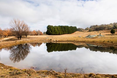 /international/au/175-tumbledown-road-peak-view-nsw-700368696/?lang=en