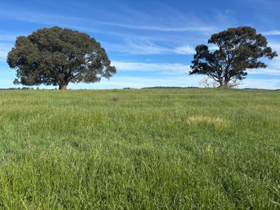 /international/au/1050-garland-road-garland-nsw-700380996/