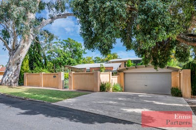 /international/au/53e-myall-avenue-kensington-gardens-sa-151060064/