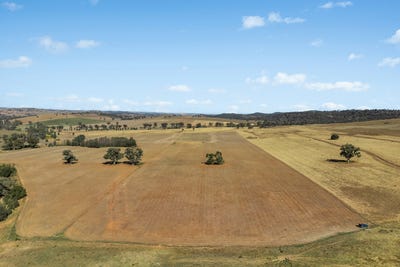 /international/au/-coates-creek-road-manildra-nsw-700408320/