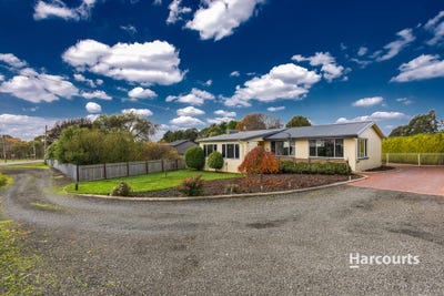 /international/au/645-ridgley-highway-ridgley-tas-151488540/