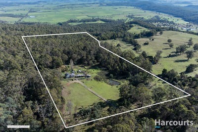 /international/au/202-brodies-road-golden-valley-tas-151497060/