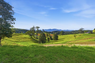/international/au/39-whistler-place-bellingen-nsw-204556140/