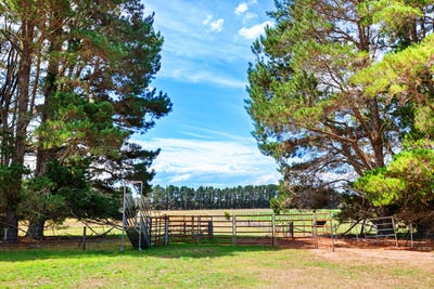/international/au/1149-charleys-forest-braidwood-nsw-700403488/