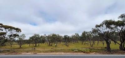 /international/au/22-great-southern-highway-broomehill-west-wa-700426080/