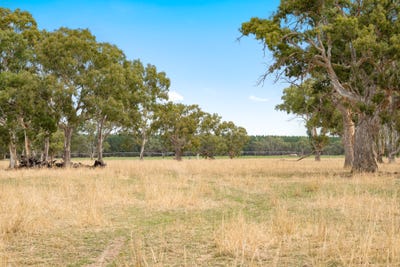 /international/au/140-taylors-road-lake-mundi-vic-700404592/