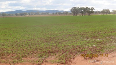 /international/au/386-sarona-downs-road-hermidale-nsw-700413600/