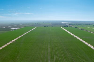 /international/au/-yarranvale-aggregation-miller-road-barham-nsw-700408660/