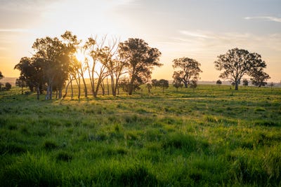 /international/au/713-lachlan-valley-way-boorowa-nsw-700424852/
