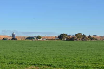 /international/au/291-murrawong-road-murray-bridge-sa-700402148/