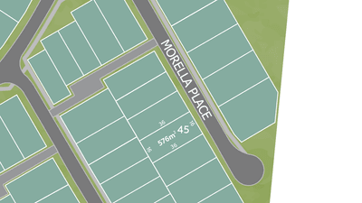 /international/au/lot-45-morella-place-bohle-plains-qld-204334916/