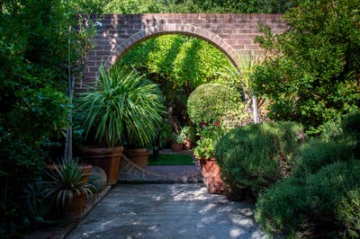 /international/au/20-kitchener-street-nedlands-wa-150801868/