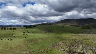 /international/au/lots-11-and-128-stoney-ridge-road-krawarree-nsw-700428992/