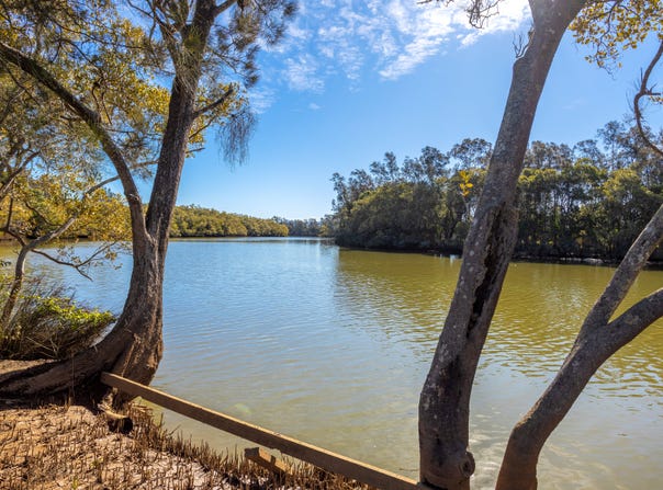 118 North Moto Road, Moto, NSW 2426