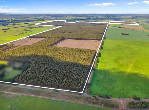 Cnr Hamilton-Port Fairy Road and Lyons Road, Byaduk, Vic 3301