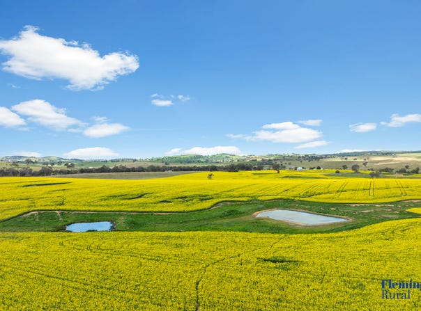 482 Rugby Road, Boorowa, NSW 2586