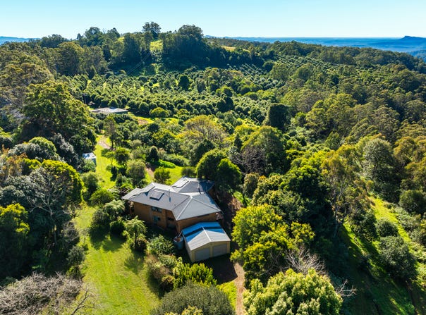 480 Ponsfords Road, Comboyne, NSW 2429