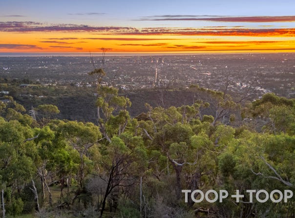 86 Woodland Way, Teringie, SA 5072
