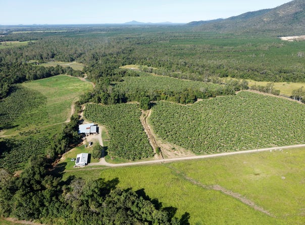 164 Middle Murray Road, Murray Upper, Qld 4854