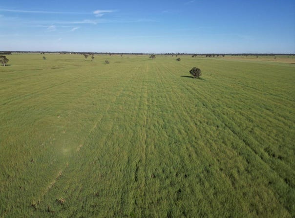 'Yarrandale' Driftway Road, Caragabal, NSW 2810