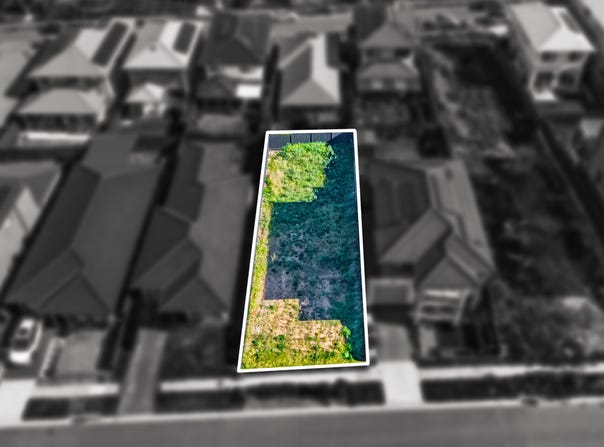 11 Cissus Way, Leppington, NSW 2179
