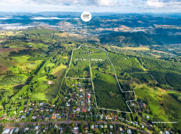 181 Munro Road, Dunoon, NSW 2480