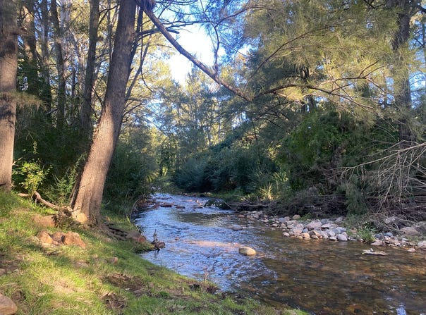 Araluen, NSW 2622
