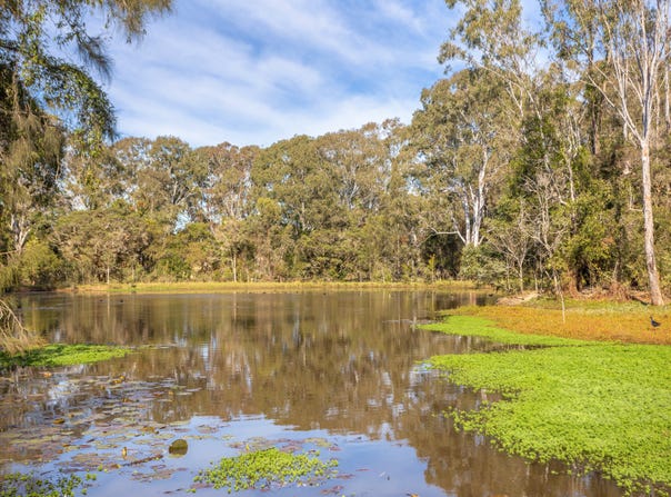 97 Glenthorne Road, Glenthorne, NSW 2430