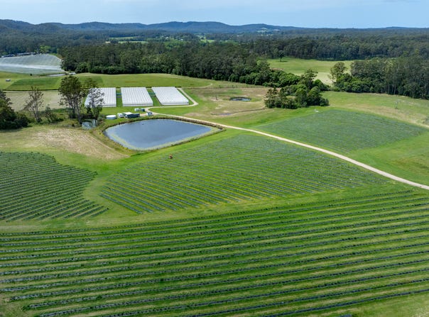 40B Hallgaths Road, Coffs Harbour, NSW 2450