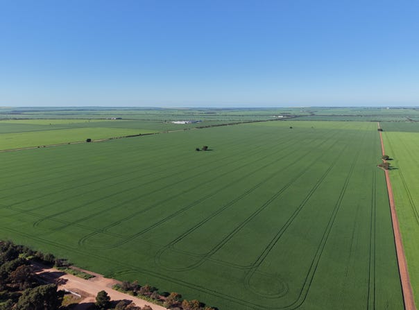 Lot 409 Church Road, Thomas Plain, SA 5554