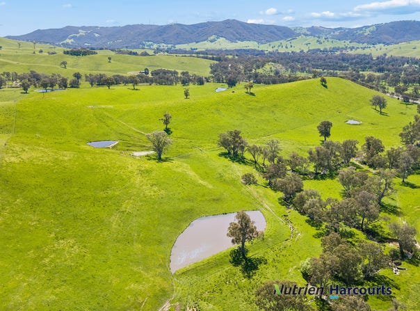 61 Guymers Road, Homewood, Vic 3717