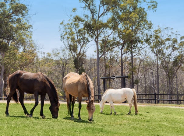 435 Ford Road, Priestdale, Qld 4127