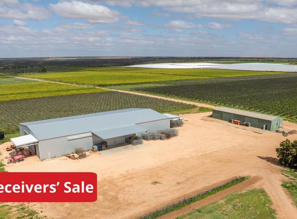 190 Delite Way, Red Cliffs, Vic 3496