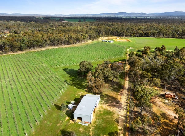 20 Morris Lane, Avoca, Vic 3467