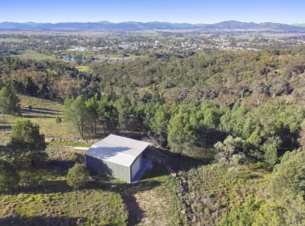58 Ray Carter Drive, Quirindi, NSW 2343