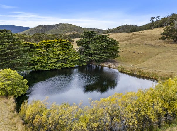 1557 Nicholls Rivulet Road, Nicholls Rivulet, Tas 7112