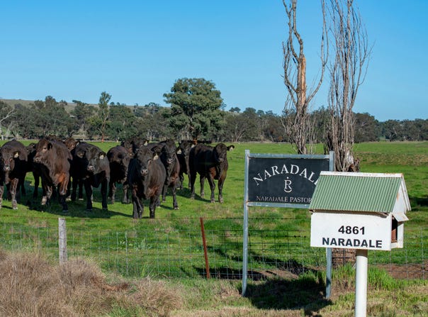 4861 Coonabarabran Road, Coonabarabran, NSW 2357