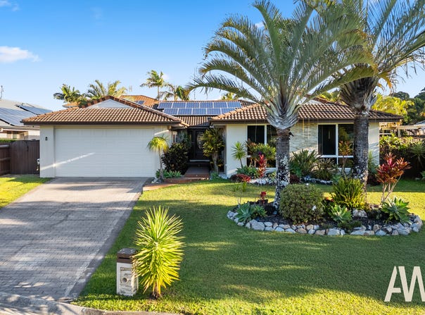 6 Whitewood Court, Mountain Creek, Qld 4557
