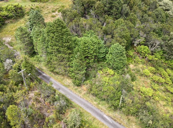 24 Crotty Street, Queenstown, Tas 7467
