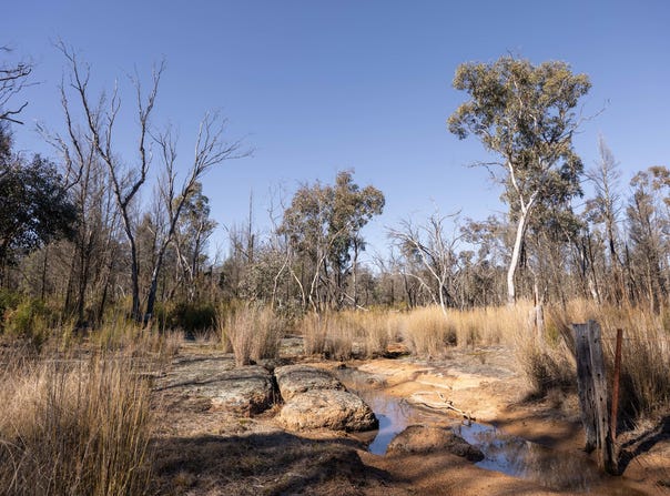 250 Springwood Park Road, Gulgong, NSW 2852