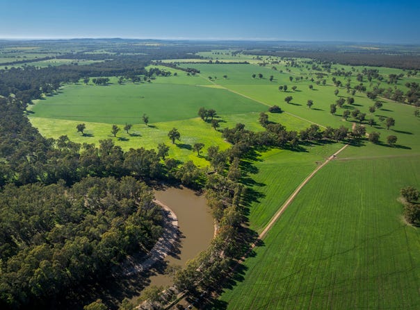 3688 Sturt Highway, Collingullie, NSW 2650